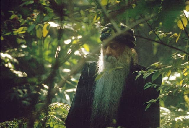 Rajneesh 